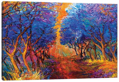 Autumn Forest III Canvas Art Print