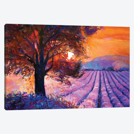 Lavender Fields I Canvas Print #DPT27} by borojoint Art Print