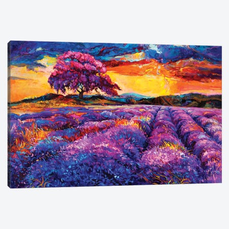 Lavender Fields II Canvas Print #DPT28} by borojoint Canvas Art