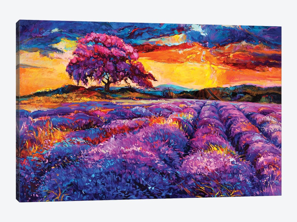 Lavender Fields II by borojoint 1-piece Canvas Print