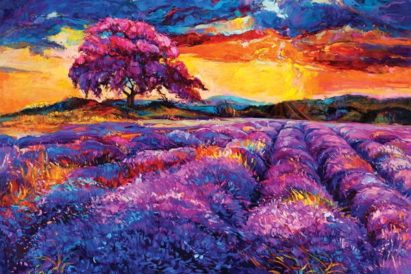 Herbs: Lavender Fields II by borojoint