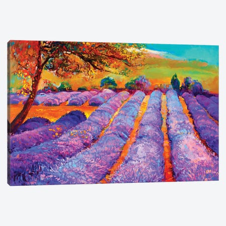 Lavender Fields III Canvas Print #DPT29} by borojoint Canvas Art