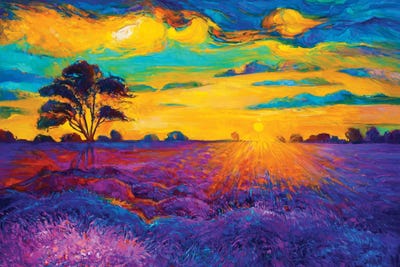 Lavender Fields IV by borojoint framed wall art