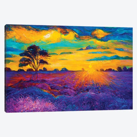 Lavender Fields IV Canvas Print #DPT30} by borojoint Canvas Art Print