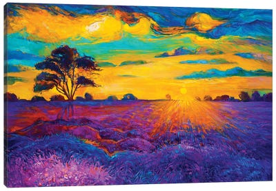 Lavender Fields IV Canvas Art Print - Fine Art Collection