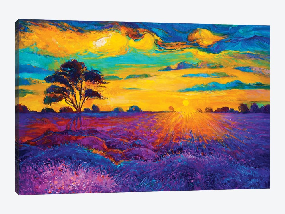 Lavender Fields IV by borojoint 1-piece Canvas Artwork