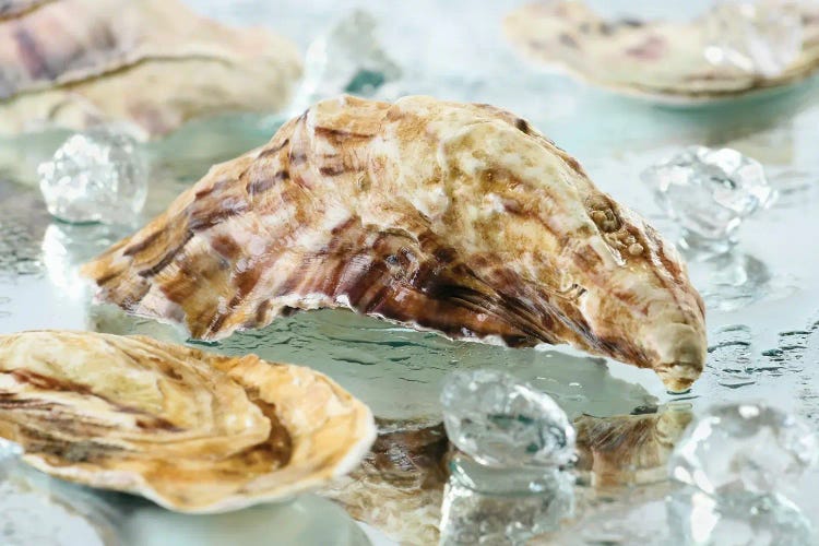 Oyster Shell by Depositphotos wall art