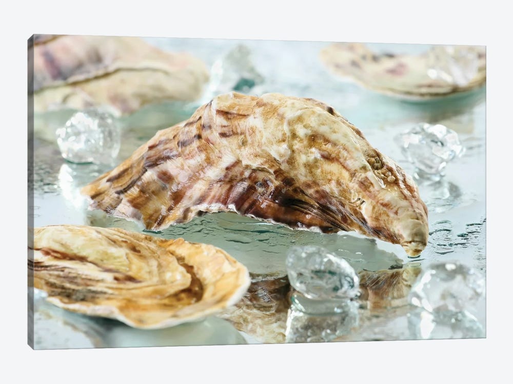 Oyster Shell by Depositphotos 1-piece Art Print