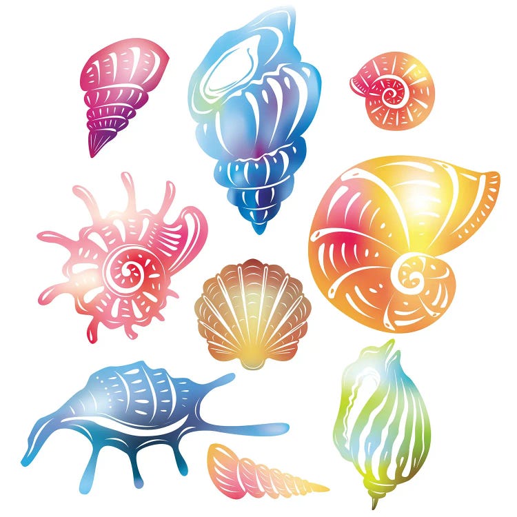 seashell cartoon images