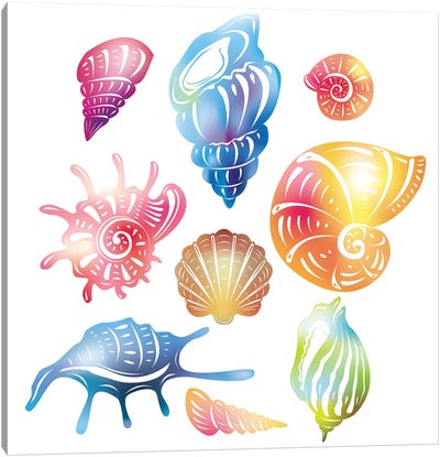 Colored Seashell Canvas Art Print