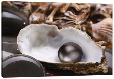 Image Of A Black Pearl In The Shell On Wet Pebbles Canvas Art Print