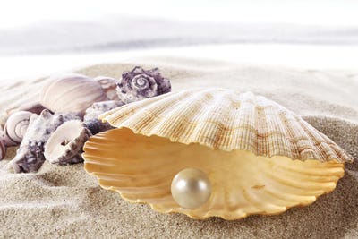 Shell With A Pearl by Depositphotos framed wall art