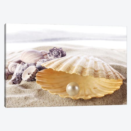 Shell With A Pearl Canvas Print #DPT328} by Depositphotos Canvas Art