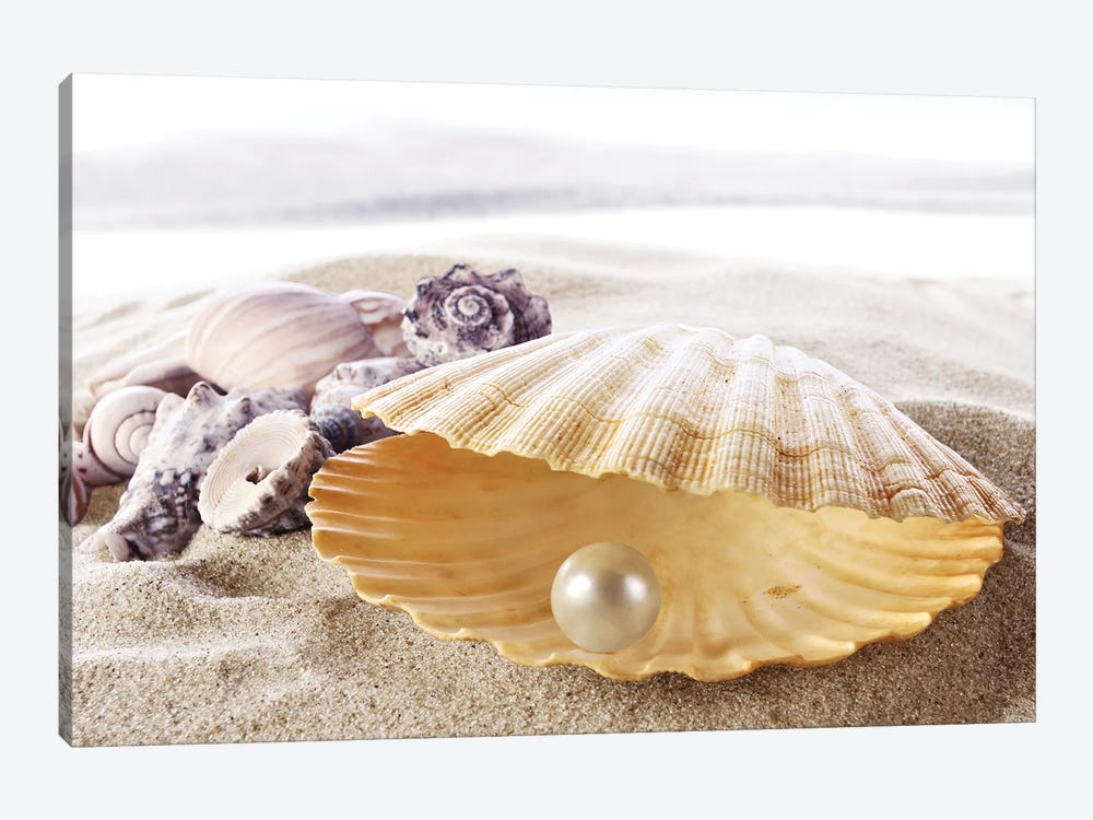 Shell With A Pearl by Depositphotos 1-piece Canvas Print
