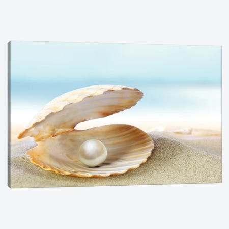 Shell With A Pearl Canvas Print #DPT330} by Depositphotos Canvas Print