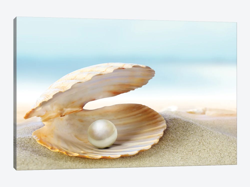 Shell With A Pearl by Depositphotos 1-piece Canvas Wall Art