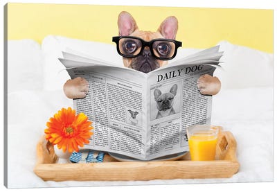 Breakfast In Bed Canvas Art Print - Dog Photography