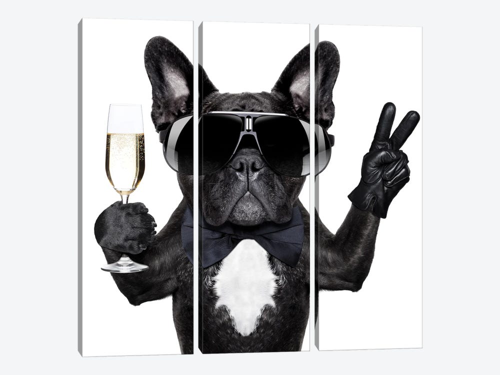 Cocktail Dog by damedeeso 3-piece Canvas Wall Art