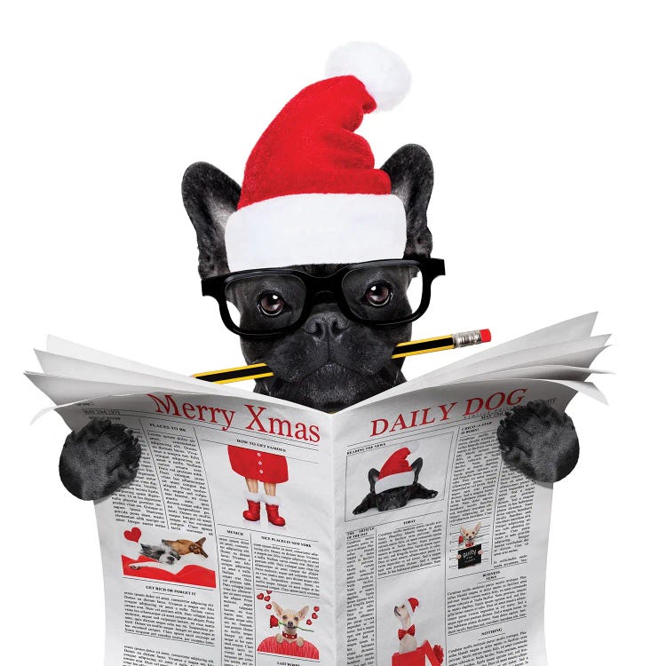 Dog Reading Newspaper On Christmas Holidays by damedeeso wall art