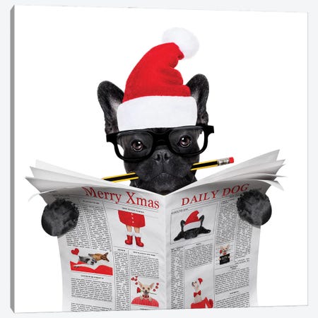 Dog Reading Newspaper On Christmas Holidays Canvas Print #DPT37} by damedeeso Canvas Wall Art