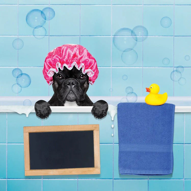 Dog In Shower II