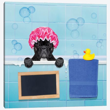 Dog In Shower II Canvas Print #DPT39} by damedeeso Canvas Print