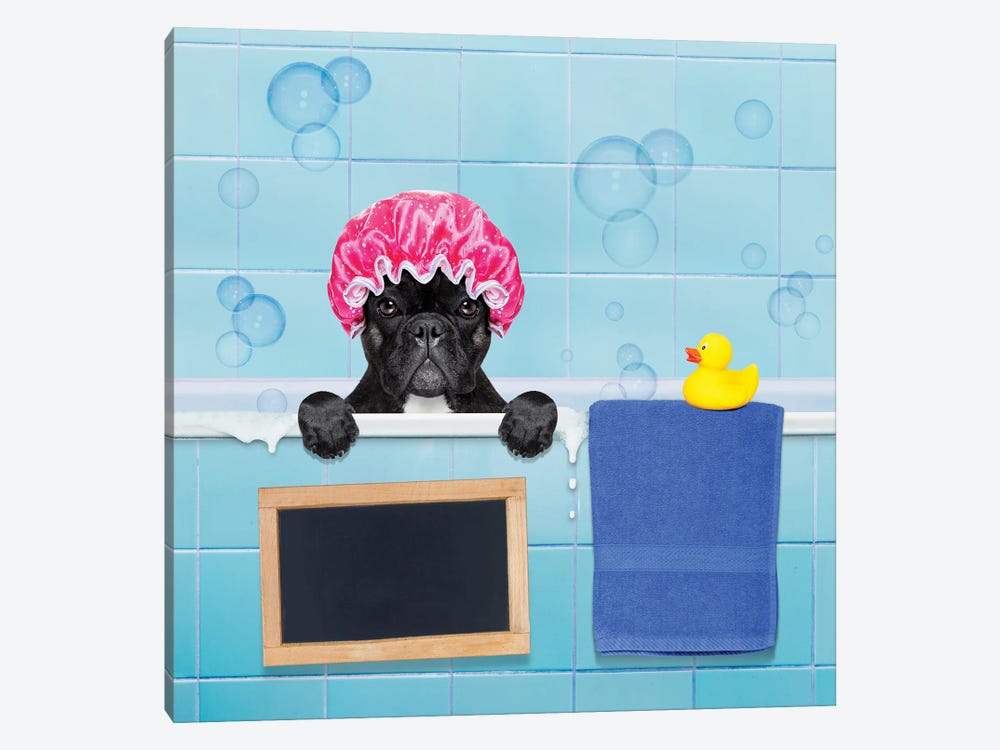 Dog In Shower II by damedeeso 1-piece Art Print