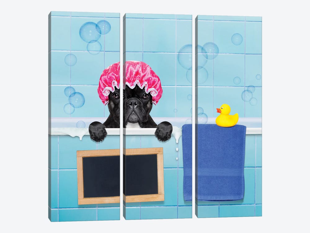 Dog In Shower II by damedeeso 3-piece Canvas Art Print