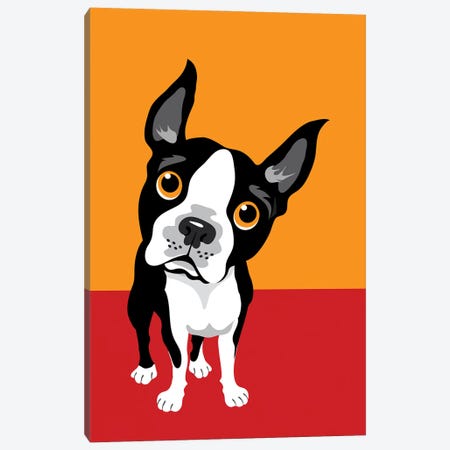 Funny Illustration Of Boston Terrier Canvas Print #DPT405} by Depositphotos Canvas Wall Art
