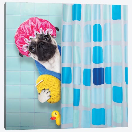 Dog In Shower III Canvas Print #DPT40} by damedeeso Canvas Wall Art