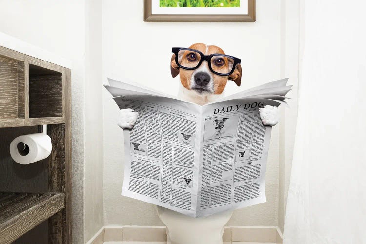 Dog Canvas Reading the newspaper in the toilet - Fineartsfrance