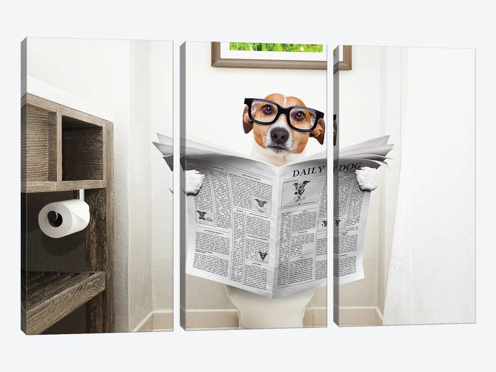 Dog On Toilet Seat Reading Newspaper I by damedeeso 3-piece Canvas Artwork