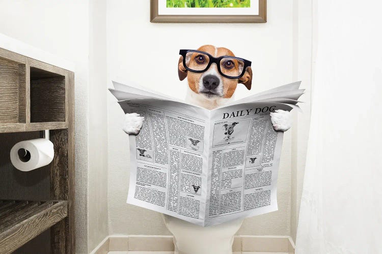 Dog On Toilet Seat Reading Newspaper I