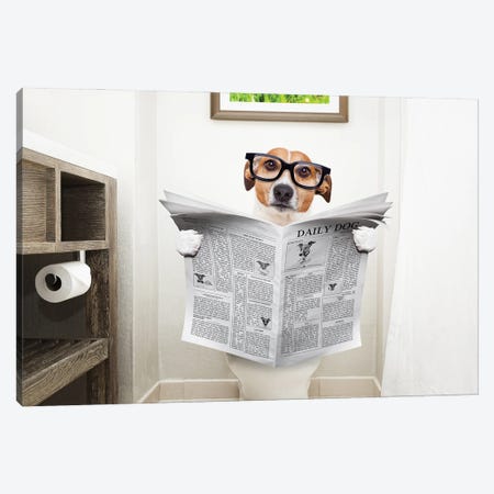 Dog On Toilet Seat Reading Newspaper I Canvas Print #DPT41} by damedeeso Canvas Artwork