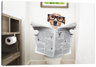 Dog On Toilet Seat Reading Newspaper I Canvas Art Print - Animal & Pet Photography