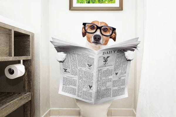 Large Art for Bathroom - Canvas Prints: Dog On Toilet Seat Reading Newspaper I by damedeeso