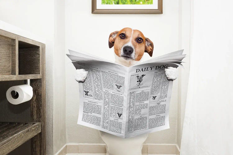 Dog On Toilet Seat Reading Newspaper II