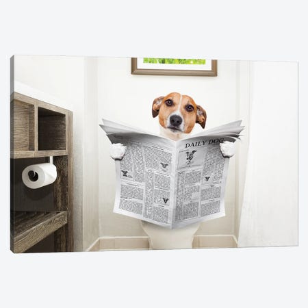 Dog On Toilet Seat Reading Newspaper II Canvas Print #DPT42} by damedeeso Canvas Artwork