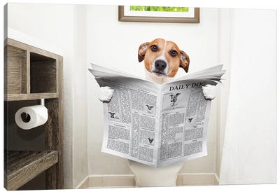 Dog On Toilet Seat Reading Newspaper II Canvas Art Print - Animal Collection