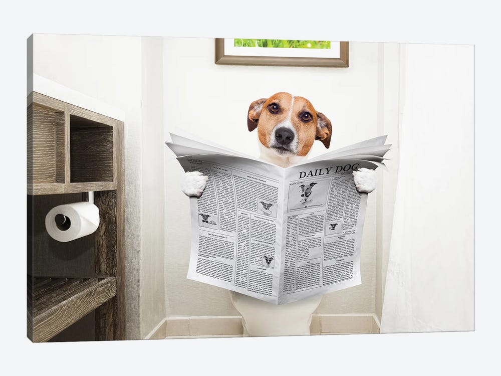 Dog On Toilet Seat Reading Newspaper II by damedeeso 1-piece Canvas Art Print
