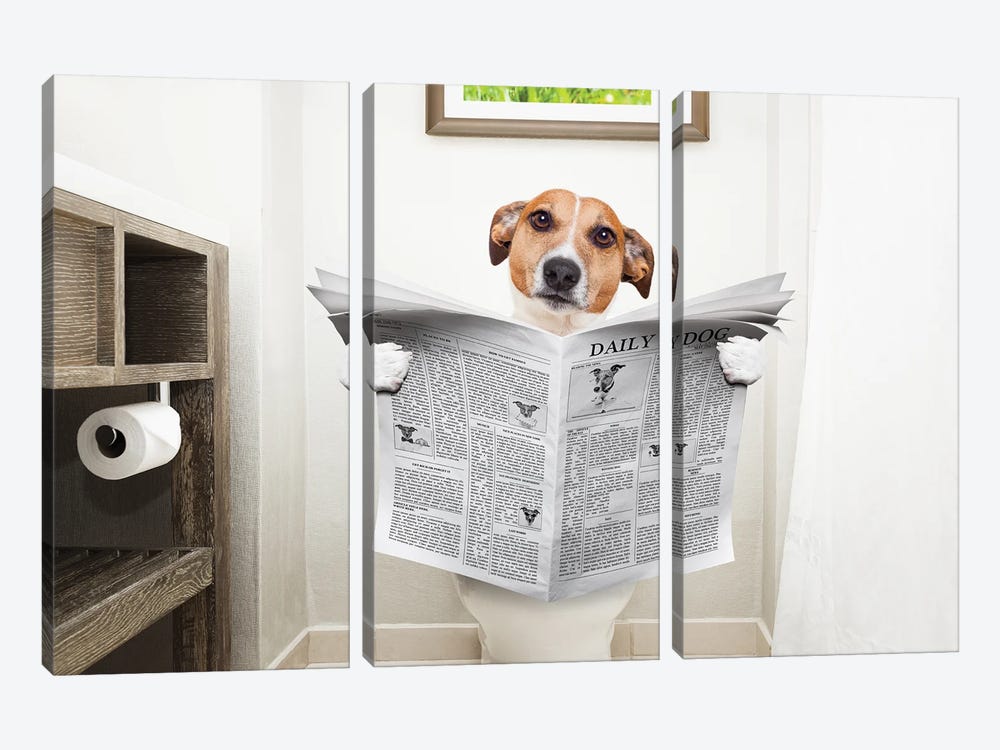 Dog On Toilet Seat Reading Newspaper II by damedeeso 3-piece Canvas Art Print