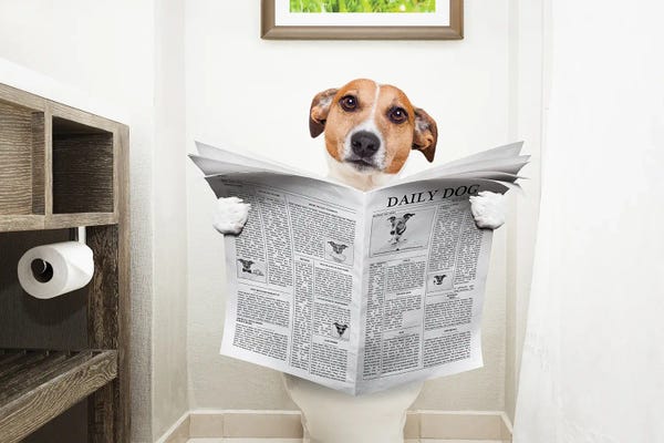 DepositPhotos: Dog On Toilet Seat Reading Newspaper II by damedeeso