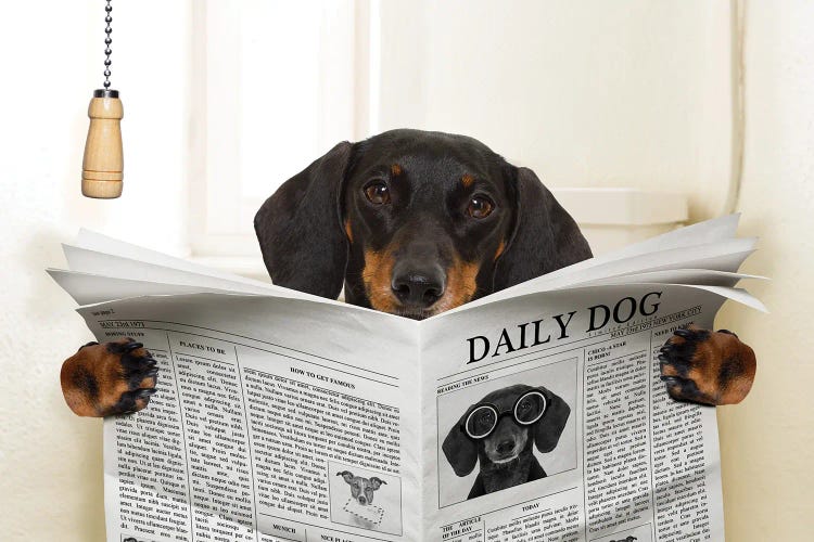 Dog On Toilet Seat Reading Newspaper III