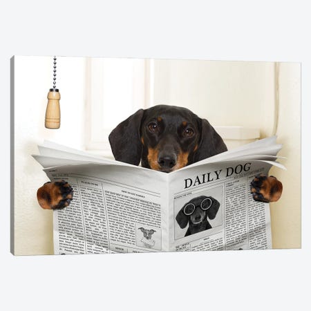 Dog On Toilet Seat Reading Newspaper III Canvas Print #DPT44} by damedeeso Canvas Art Print