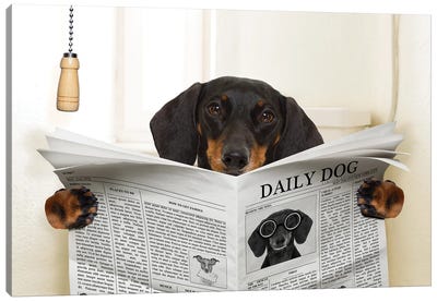 Dog On Toilet Seat Reading Newspaper III Canvas Art Print - Animal Collection