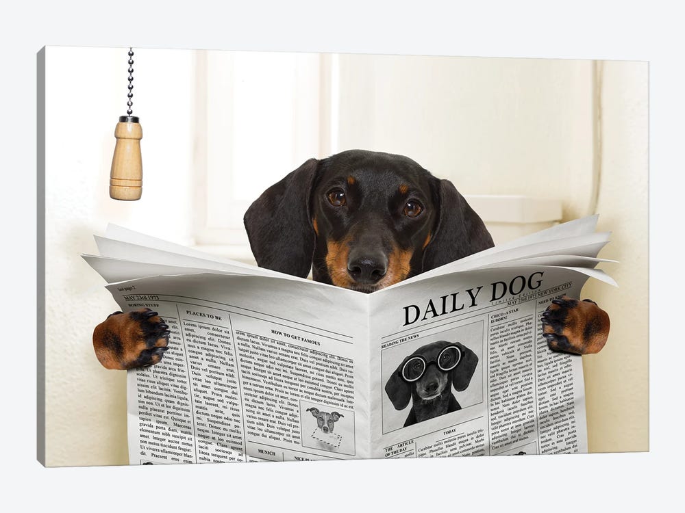 Dog On Toilet Seat Reading Newspaper III by damedeeso 1-piece Canvas Print