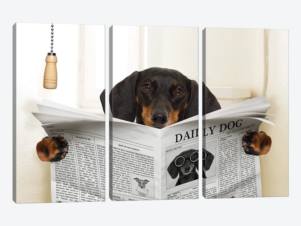 Dog On Toilet Seat Reading Newspaper III by damedeeso 3-piece Canvas Art Print