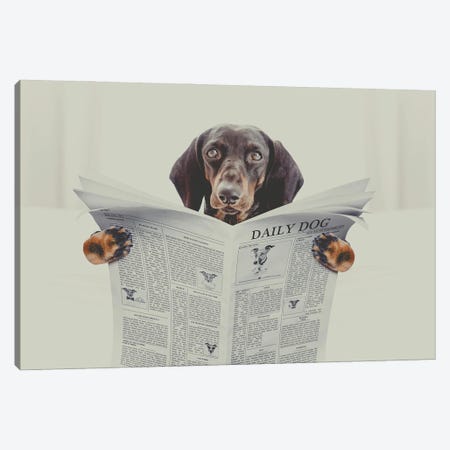 Dachshund Sausage Dog Reading A Newspaper Magazine, In Bedroom In Bed  With Retro Vintage Style Filter Canvas Print #DPT455} by damedeeso Canvas Print