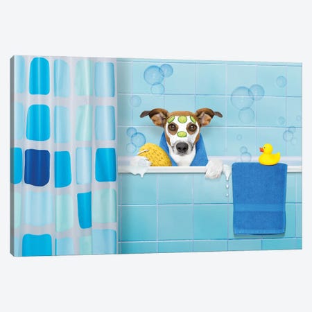 Dog In Shower III Canvas Print #DPT458} by damedeeso Canvas Wall Art