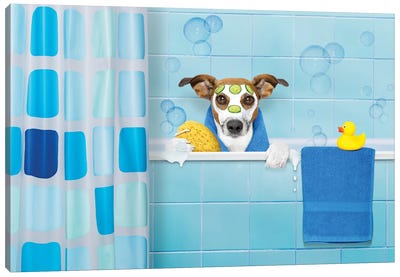 Dog In Shower III Canvas Art Print - Animal Collection